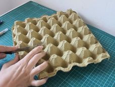 si tenes carton de maple de huevo, no lo tires, posees un tesoro en casa: dos formas de aprovecharlo si tenes carton de maple de huevo, no lo tires, posees un tesoro en casa: dos formas de aprovecharlo