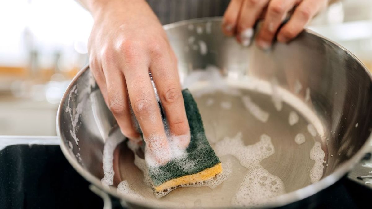 Científicos prohíben las esponjas para lavar los platos: cuáles son las alternativas más recomendadas