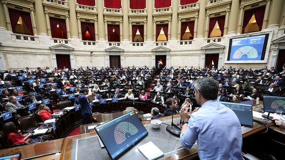 Tras la multitudinaria marcha realizada ayer por las Universidades y partidos opositores, el Gobierno publicó este jueves en el Boletín Oficial el rechazo a la ley aprobada por el Congreso. (Prensa Diputados)