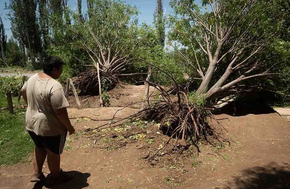 Fuertes vientos y caída de granizo sobre viviendas y terrenos cultivados, afectó unas 17 mil hectáreas productivas de Lavalle y zona Este. (Diciembre de 2021) Foto: Ignacio Blanco (Los Andes)
