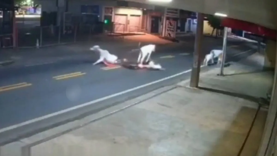Futbolista brasileño murió tras chocar en su motocicleta contra una vaca.