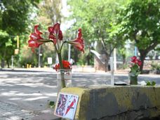 Habló la familia del sobreviviente de la tragedia del Parque: No iban en bicicleta, la mujer cruzó en rojo