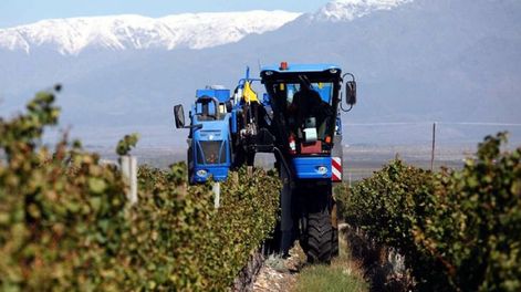 El difícil y largo camino de la mecanización en el agro mendocino