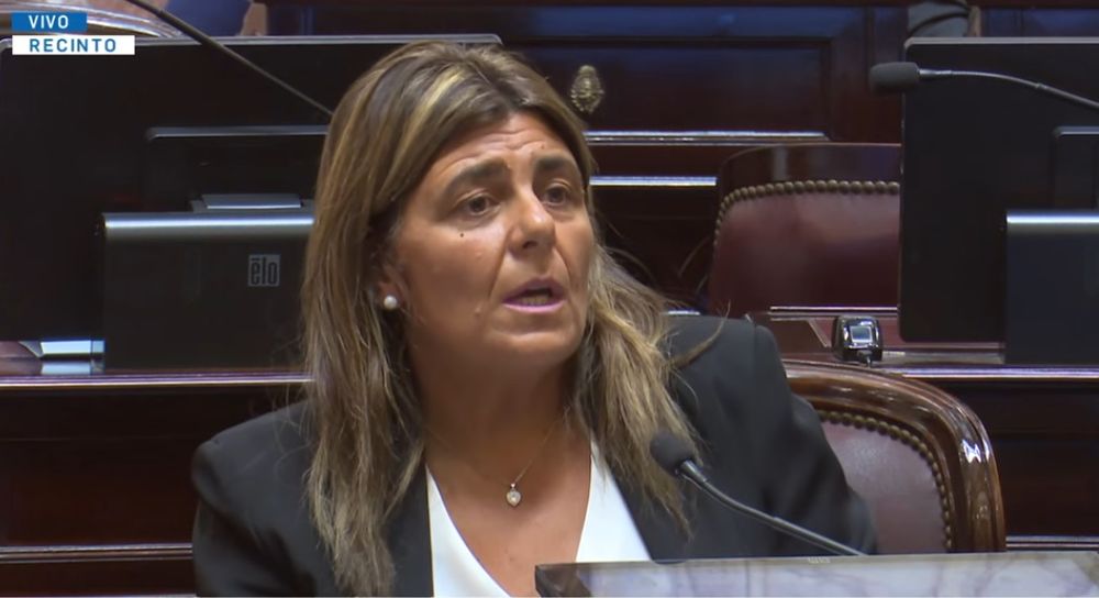 La senadora Mariana Juri expuso en el debate por la reforma laboral.&nbsp;