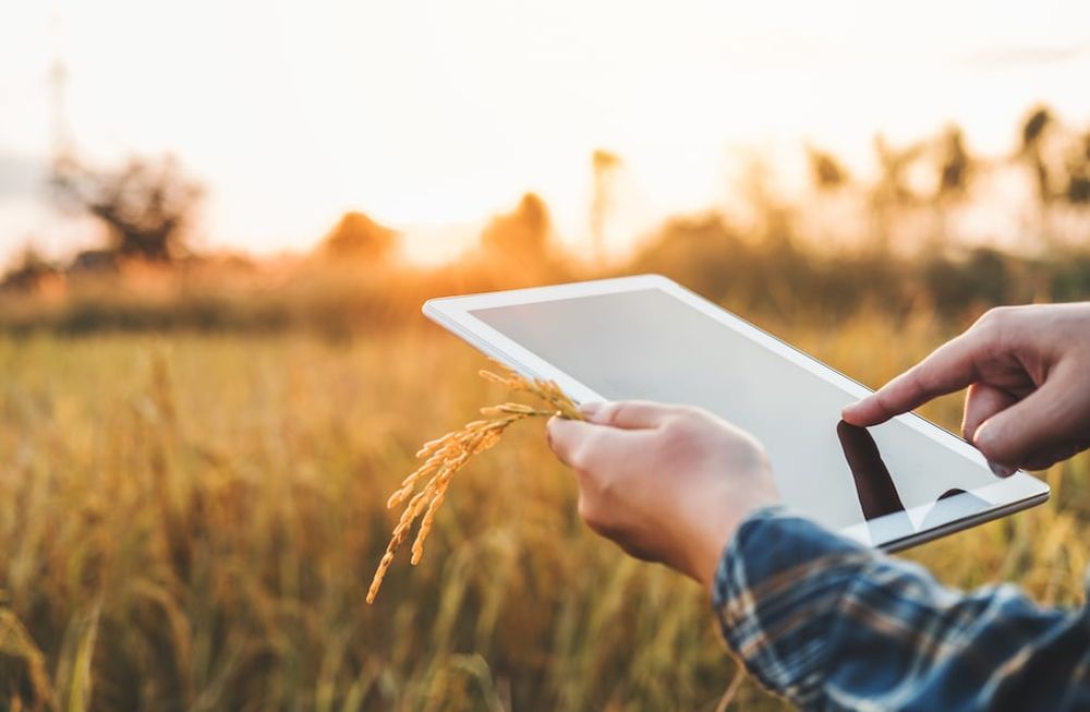 Cómo funciona la startup que apuesta a la inclusión digital rural