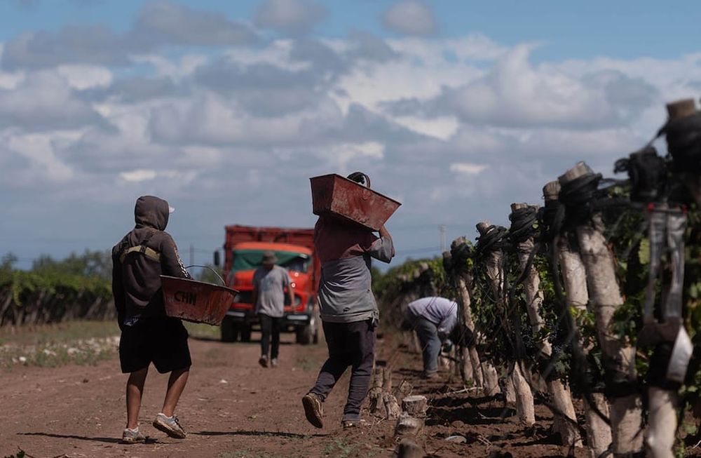 Las MiPyMEs vitivinícolas de Mendoza podrán solicitar un préstamo por un monto equivalente a 2.000 salarios mínimos, vital y móvil /Foto: Ignacio Blanco / Los Andes