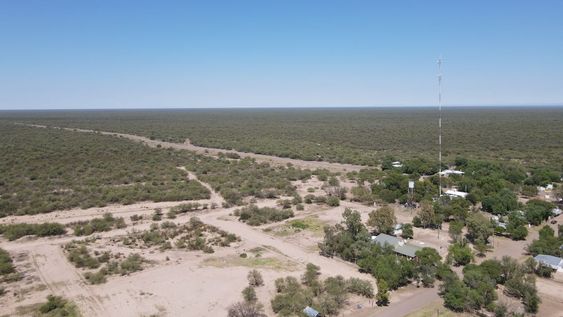 Imagen de dron sobre la Reserva de Biosfera Ñacuñan (Santa Rosa), uno de los sitios más representativos y no modificados de la vegetación natural del Desierto del Monte. (Crédito: Laboratorio de Geomática de Tierras Secas, Iadiza-Conicet.