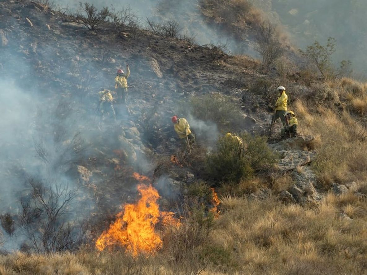 De 79 incendios en Mendoza, 25 han sido por causas naturales y el resto por causas humanas, ya sean negligentes o intencionales. Foto: Ignacio Blanco / Archivo Los Andes