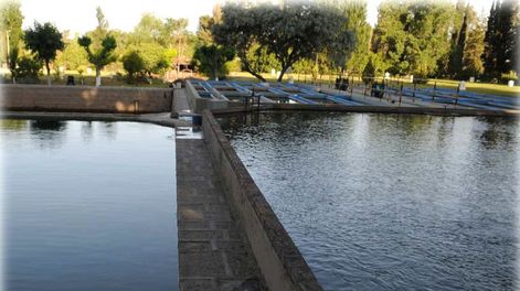 Sincerar el valor del agua respecto  de otros servicios que son superfluos