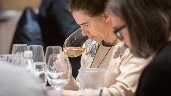 Primer Concurso Nacional de Vinos Guarda 14 El evento se desarrolló durante toda la mañana de este viernes en Sheraton Mendoza Hotel. Allí, más de 250 muestras de unas 130 bodegas son degustadas por los jurados, en busca de los mejores vinos.Foto: Ignacio Blanco / Los Andes
