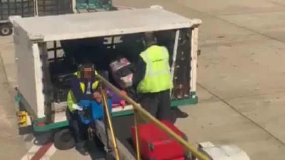 Intercargo echó a dos empleados tras la viralización de un video (Captura de video).