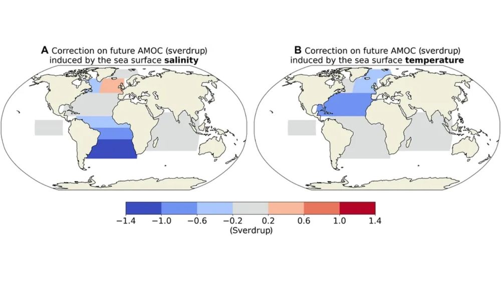 Cuanto mayor sea la salinidad simulada de la superficie del mar en el Atl&aacute;ntico Sur, m&aacute;s d&eacute;bil se espera que sea la Circulaci&oacute;n Meridional de Vuelco del Atl&aacute;ntico (AMOC) para el a&ntilde;o 2100. (Imagen: Portmann et al., Science Advances)