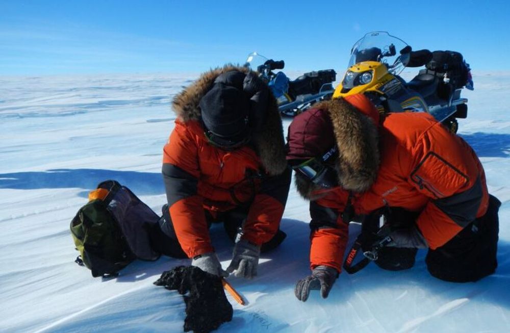 Científicos dicen que el hallazgo en la Antártida podría revelar secretos de la historia climática de la Tierra y anticipar el impacto del calentamiento global.