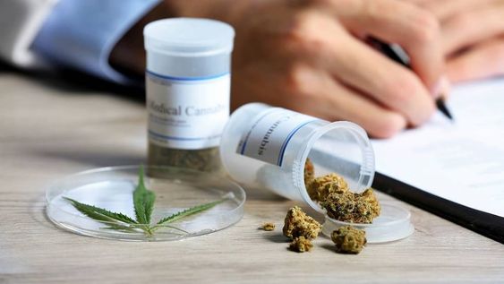 La Cámara de Diputados de Mendoza dio media sanción al proyecto de José María Videla, que busca regular la investigación científica para el uso medicinal y terapéutico de Cannabis.