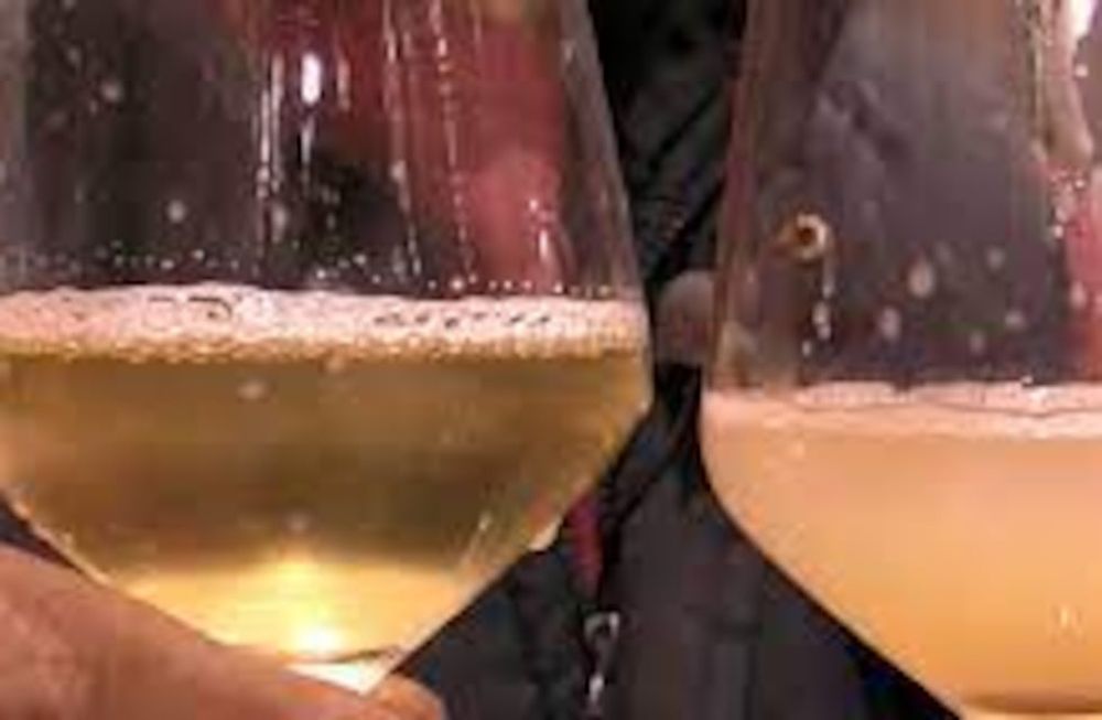 El INV habilitó la comercialización de vinos con turbidez