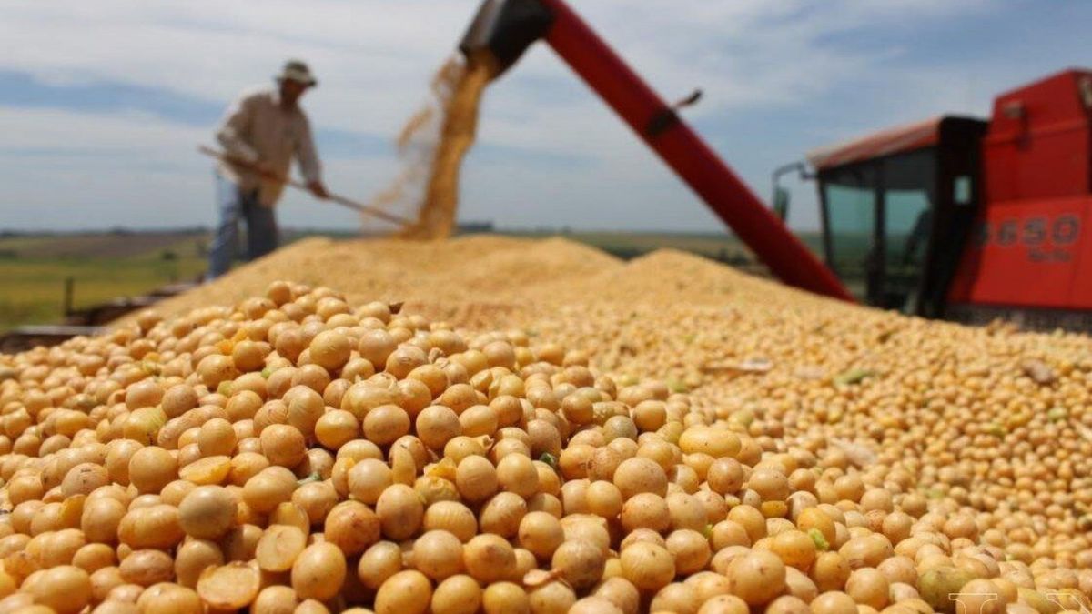 Semáforo de Economías Regionales: el agro suma más actividades en rojo y crece la preocupación, según Coninagro