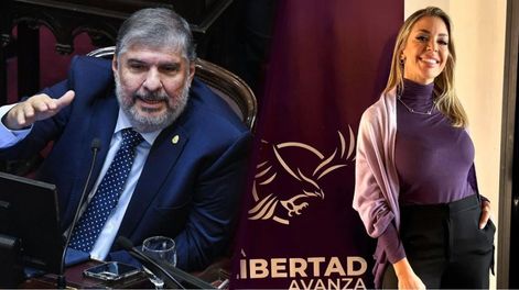José Mayans acusó de tonta y estúpida a Virginia Gallado, candidata a diputada por La Libertad Avanza.