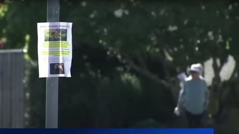 Pánico por un animal que ataca a los vecinos.
