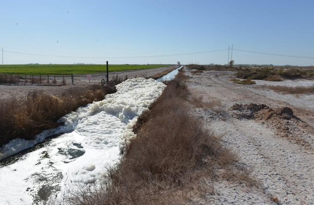 Mendoza lidera en el país el riego de cultivos con líquidos cloacales tratados