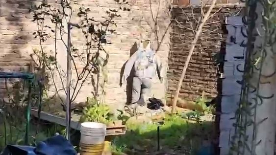 El jardín de la casa de Florencio Varela donde encontraron los cuerpos de Morena, Brenda y Lara.&nbsp;