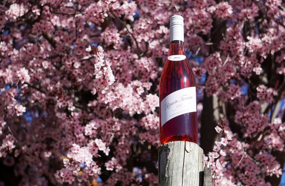 ¿Querés saber quienes fueron los ganadores de las dos cajas de Rincón Famoso Rosé?