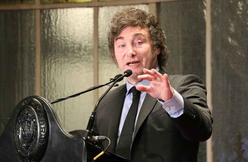 El presidente Javier Milei. Foto NA