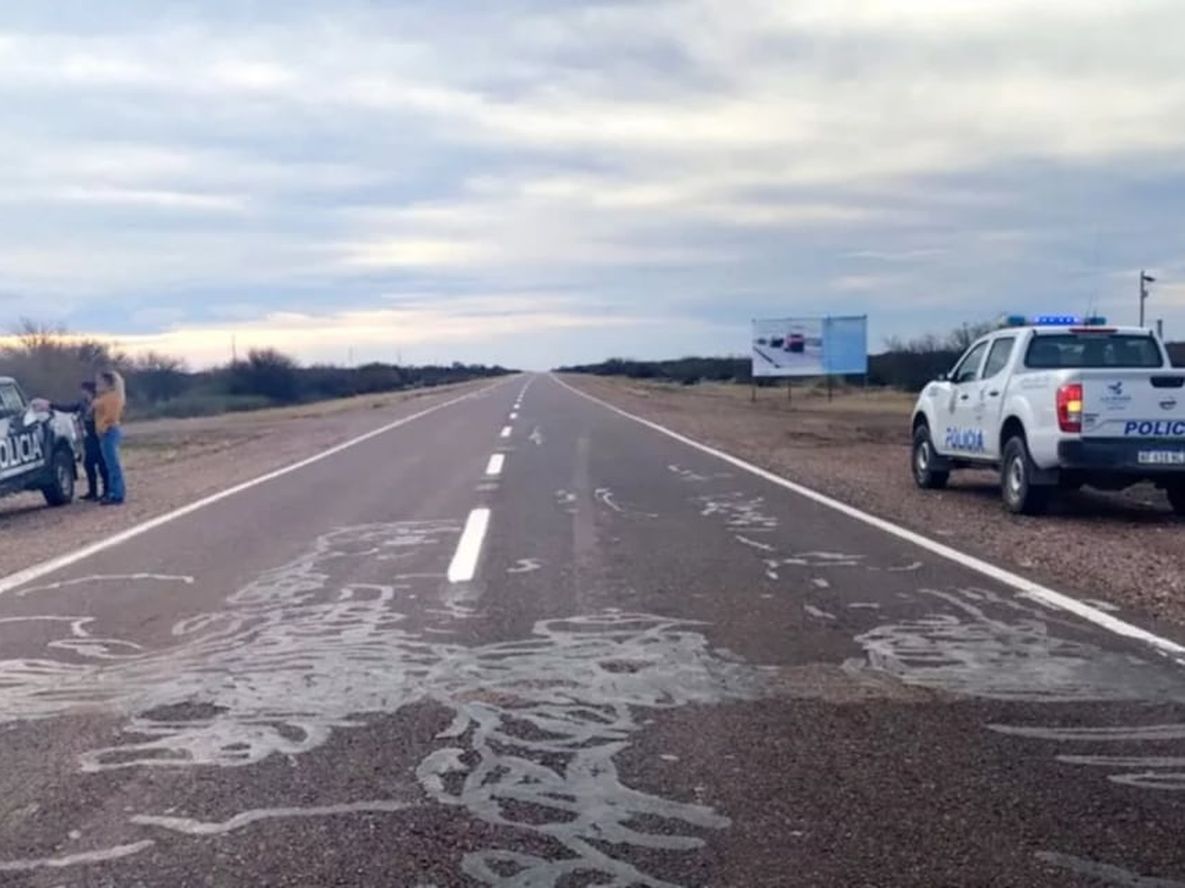 La retuvieron en Santa Isabel, La Pampa - Foto La Arena