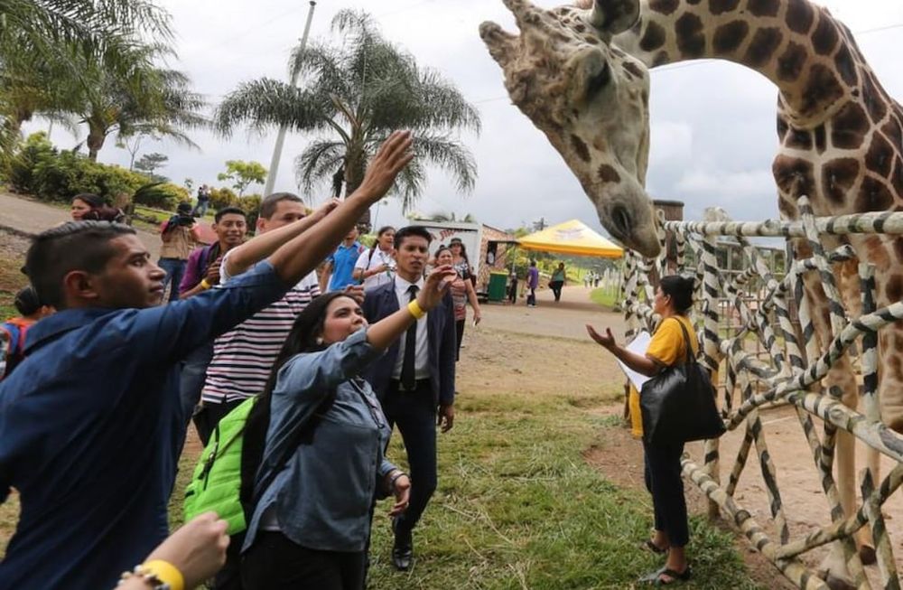 Big Boy era la estrella para los niños que visitan el zoológico Joya Grande, situado en un predio rural ubicado 150 km al norte de Tegucigalpa. Gentileza: El Heraldo.