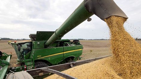 Malestar en el campo por la prórroga de la baja de retenciones.