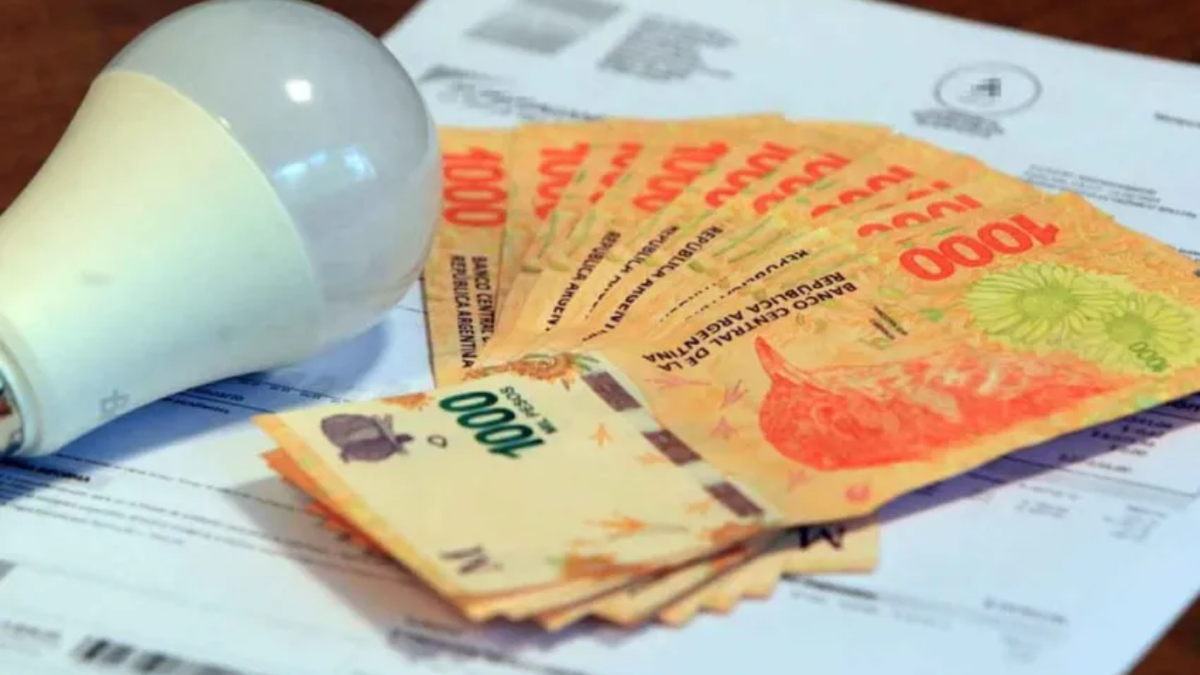 Si usás este electrodoméstico todos los días, tenés un problema: el truco para bajar su consumo eléctrico y ahorrar dinero