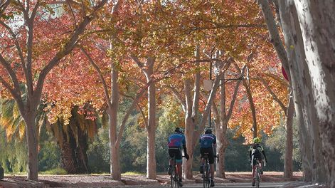 Parque General San Martín - Archivo / Los Andes