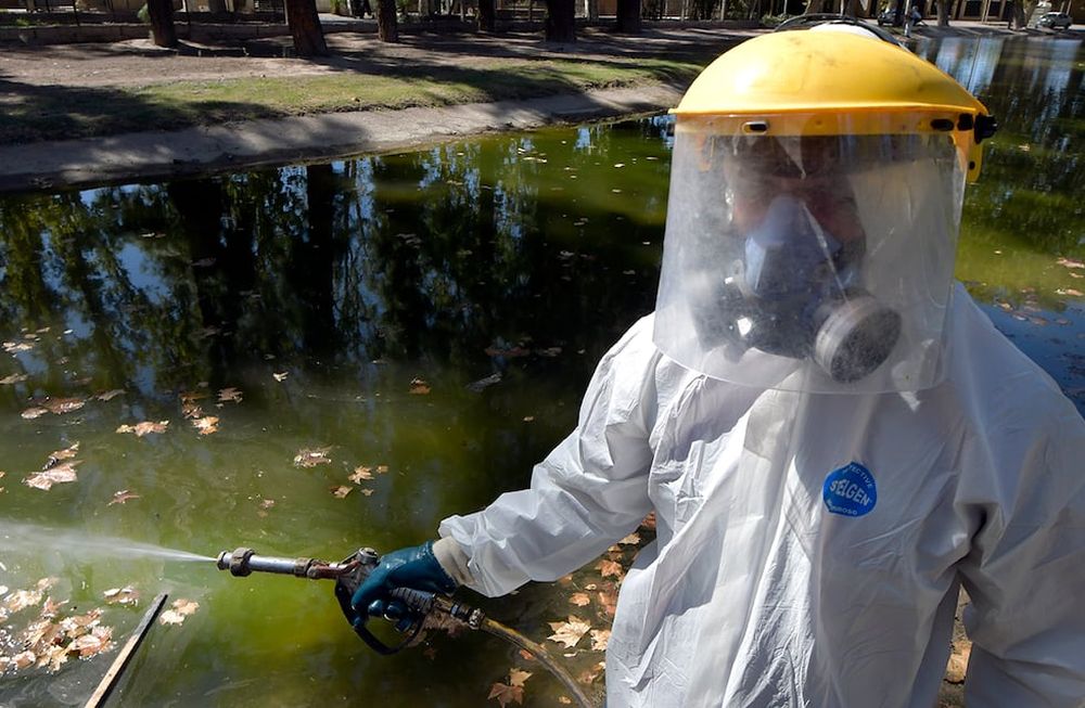 Personal de Zoonosis de Guaymallén desinfectando para evitar la propagación del mosquito Dengue  en el lago de Bandera de los Andes y UrquizaEl dengue, es una enfermedad viral transmitida por la picadura del mosquito del género Aedes, principalmente por Aedes aegypti.Foto : Orlando Pelichotti