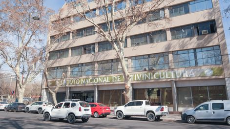 Cuáles son los cambios en el Instituto Nacional de Vitivinicultura y su posible impacto en la industria vitivinícola&nbsp;