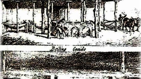 La producción vitivinícola en la Mendoza colonial (*)