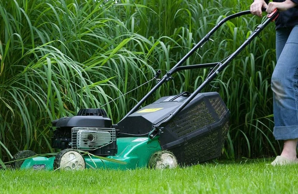 Aprovechá el Cyber Monday de Musimundo para arreglar tu jardín