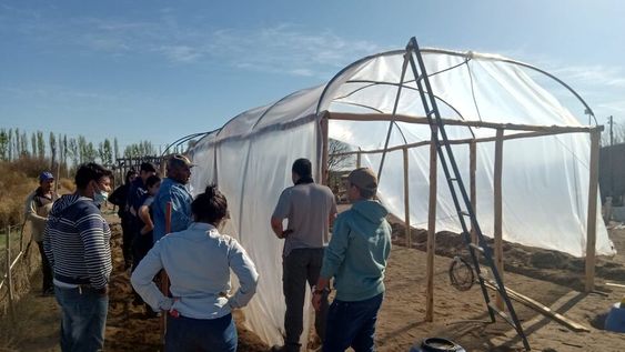 Alumnos de una escuela de La Llave (San Rafael) desarrollan un proyecto de hidroponia, con el municipio y el INTA, para cultivar hortalizas ante la crisis hídrica