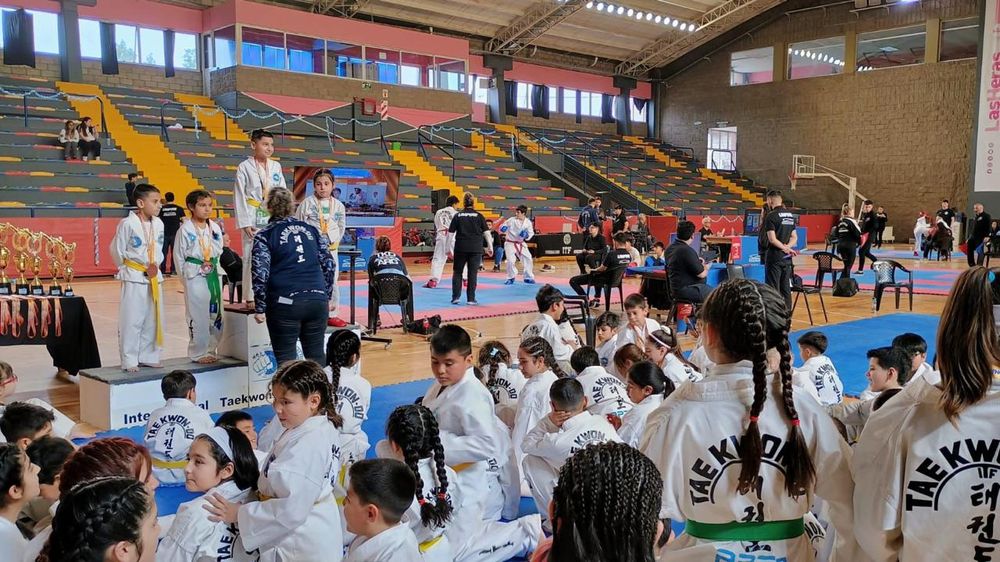 Taekwondo de Mendoza: llega la XI Copa Provincia con más de 300 competidores. 