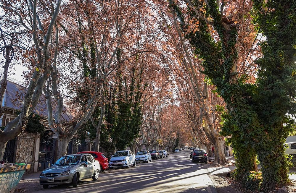 Chacras de Coria. Foto: Mariana Villa / Los Andes