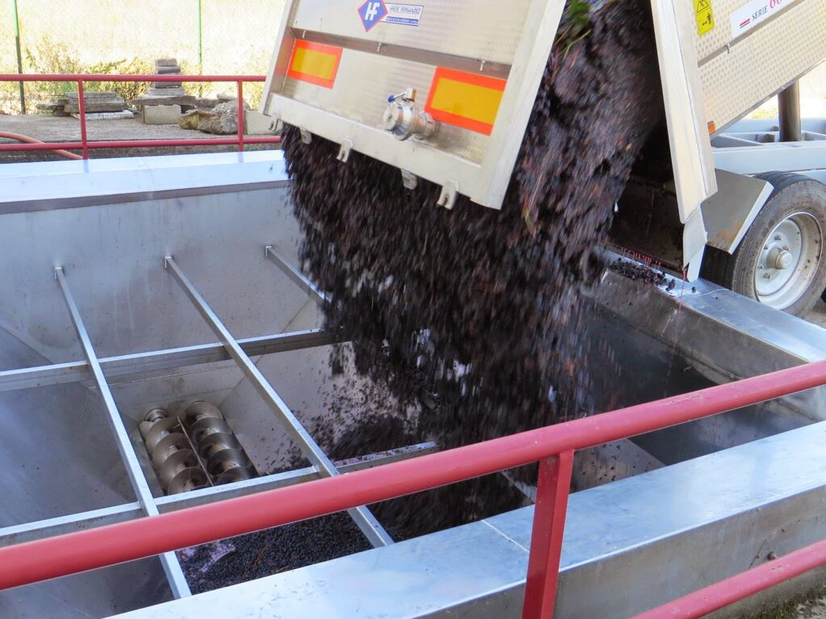 Piden una reducción de la tarifa eléctrica en los meses de elaboración para bodegas del Este