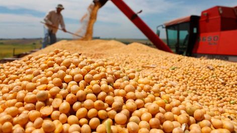 Los Andes | Empresarios, productores, emprendedores y toda persona que esté pensando en invertir, se encuentra siempre con el mismo problema en Argentina: la falta de previsibilidad.