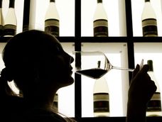 Tu futuro en la industria del vino comienza hoy: carreras con salida laboral asegurada