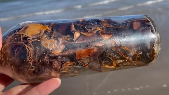 En su interior, explican expertos, se pueden encontrar hierbas, plantas, componentes del cuerpo humano como pelos, uñas y fluidos corporales. Foto: Captura video
