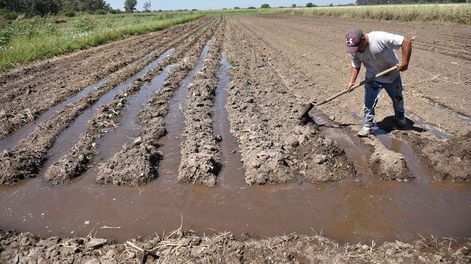 Casi uno de cada dos productores agropecuarios cree que es un buen momento para invertir
