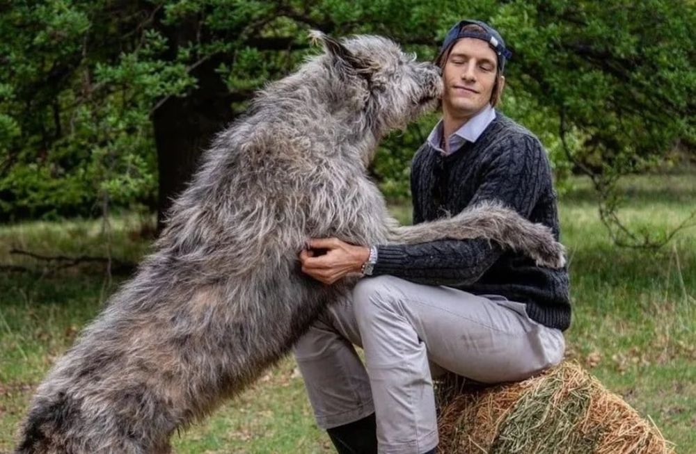 Iván de Pineda y su perro gigante revolucionaron las redes