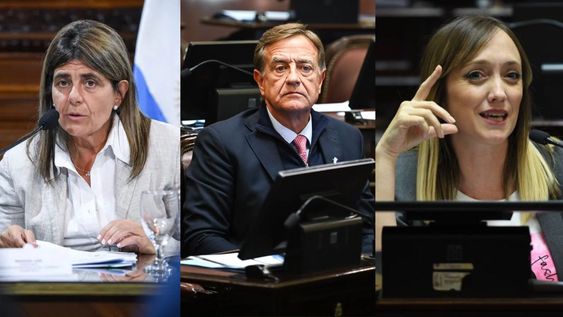 Los radicales Mariana Juri y Rodolfo Suarez acompañaron el proyecto del Gobierno. Anabel Fernández Sagasti no pudo participar de la sesión.