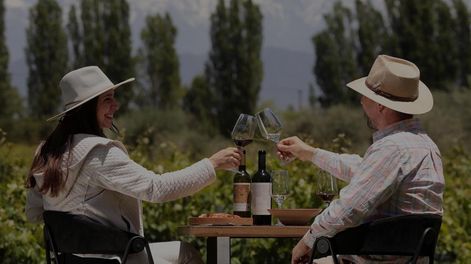 Entre viñedos y montañas, las bodegas apuestan por una carta flexible y sin pasos obligados.