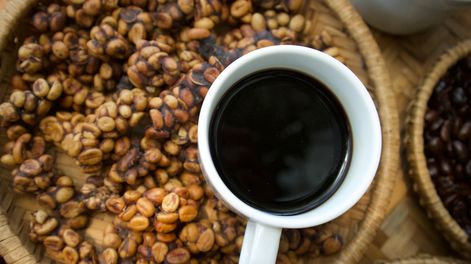 Los Andes | El-cafe-mas-caro-del-mundo-Kopi-Luwak-portada