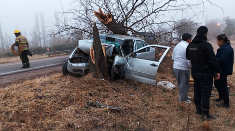 Fuerte choque en San Rafael: conductor impactó contra un árbol.