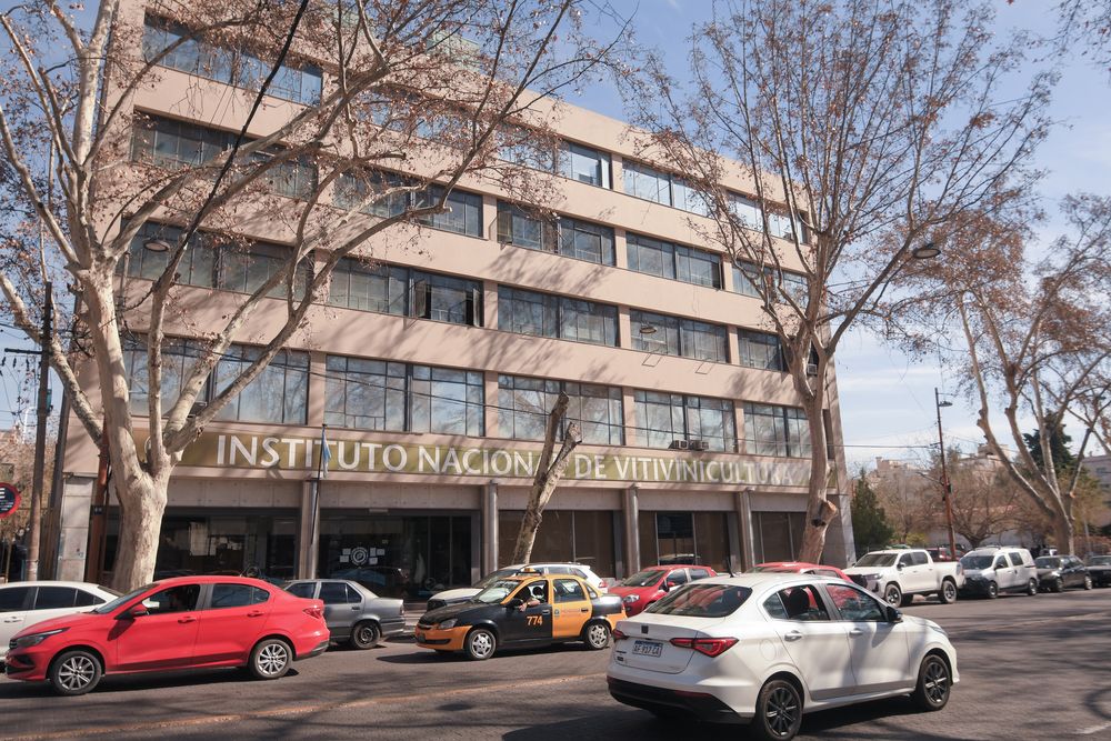 À frente do Instituto Nacional de Viticultura, a Nação disponibilizará 49 funcionários do INV.