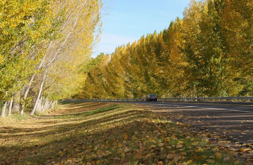 Pronóstico del tiempo. Se espera un día con buen tiempo y leve descenso de la temperataura en Mendoza. Archivo / Los Andes&nbsp;